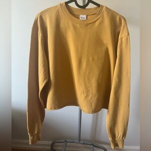 Aritzia TNA Cropped Longsleeve